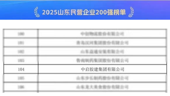 喜報(bào)！公司榮登“2025山東民營(yíng)企業(yè)200強(qiáng)榜單”